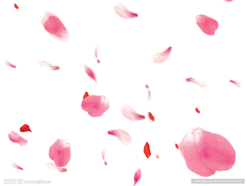 花瓣