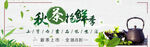 秋茶上新