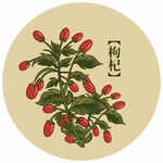 枸杞