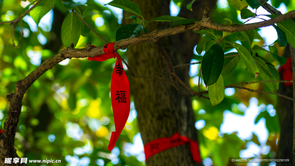 黔灵山公园弘福寺祈福幸福