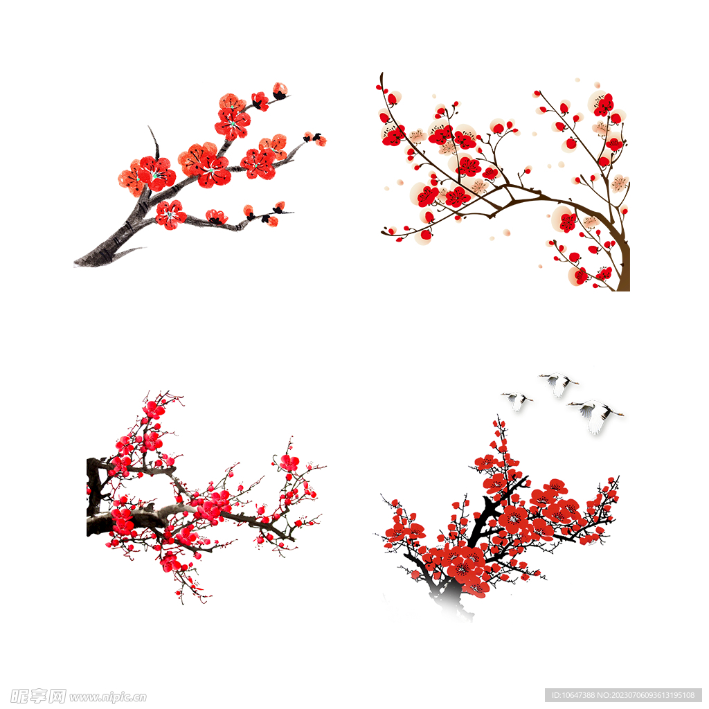 腊梅