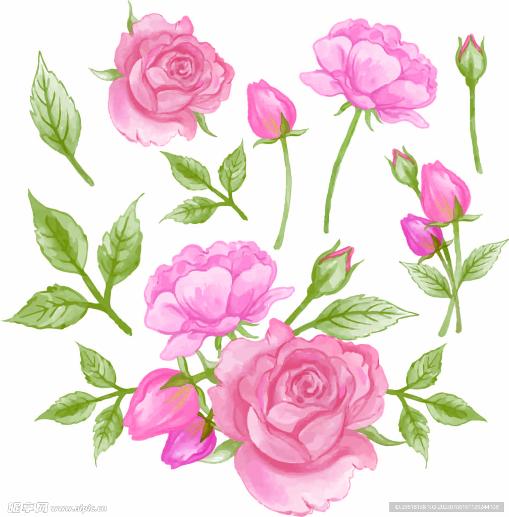 粉玫瑰花
