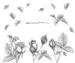 手绘花卉