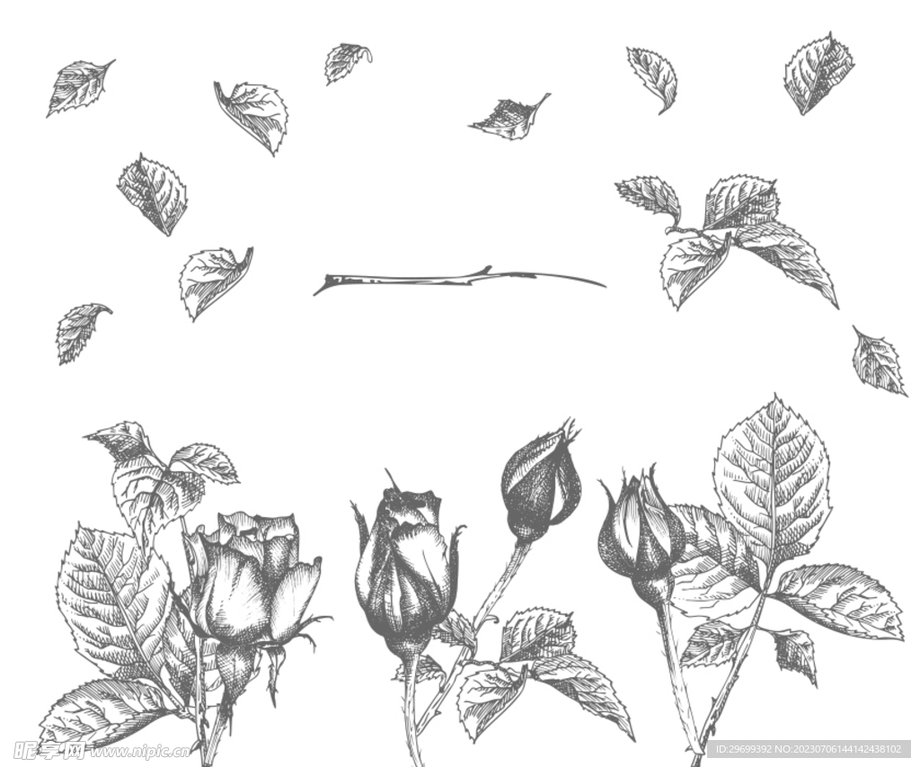 手绘花卉