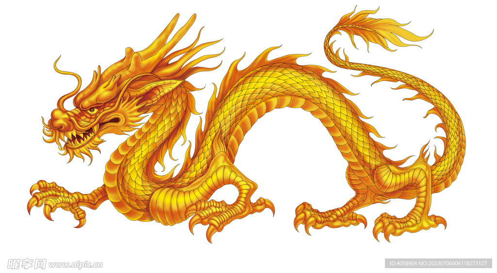 金龙