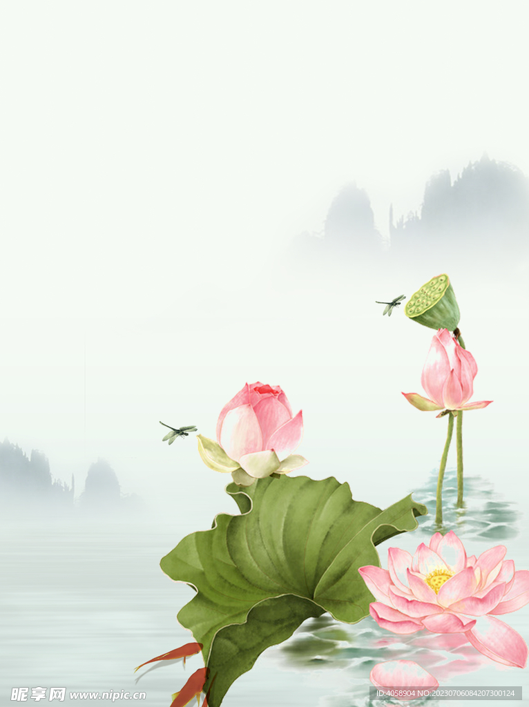 荷花背景