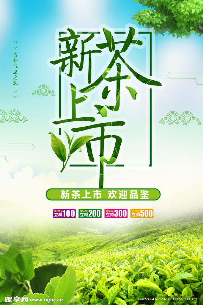 新茶上市