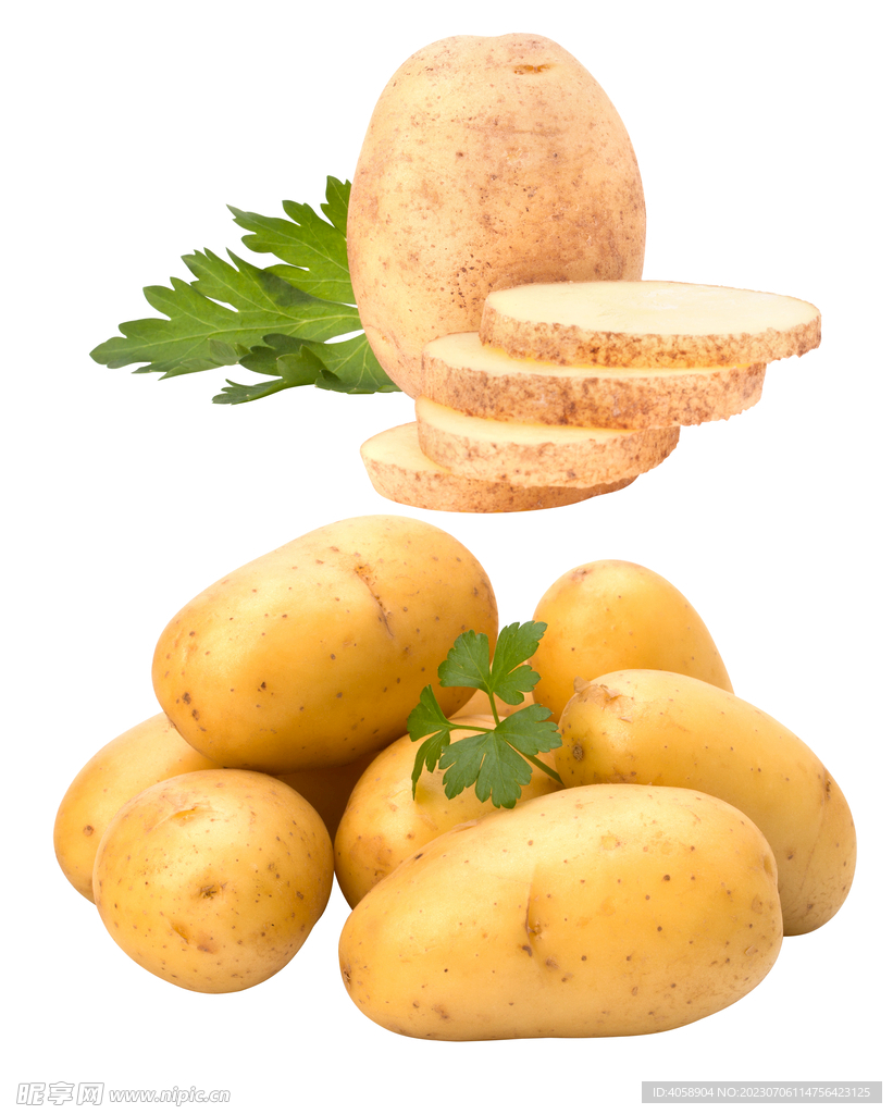 免抠土豆