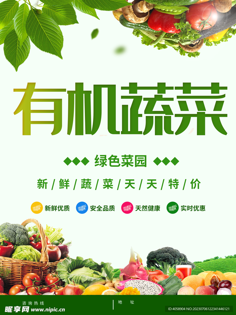 有机蔬菜