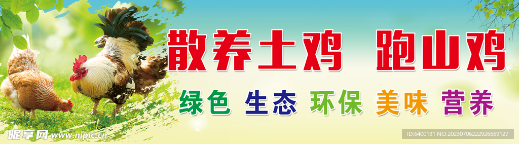 土鸡