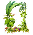 植物背景