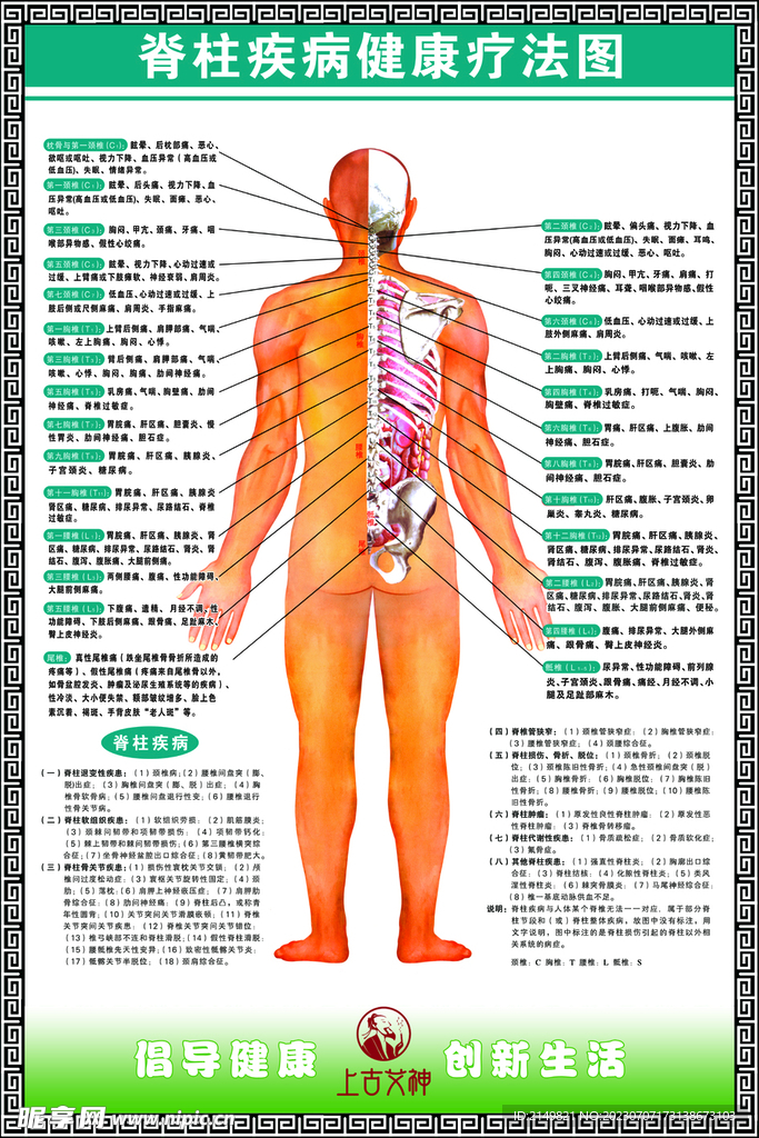 脊柱疾病健康疗法图