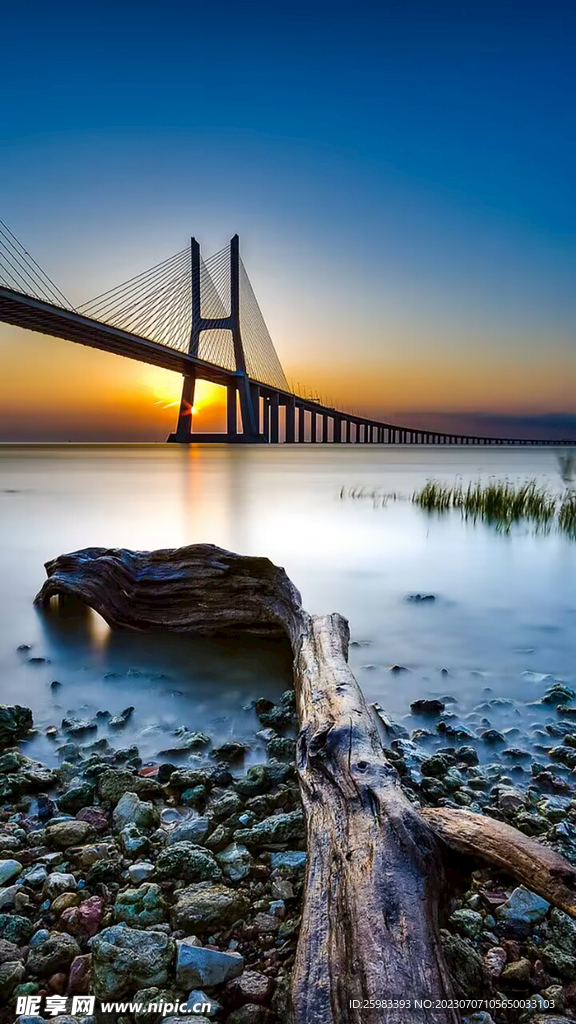黎明中的大桥