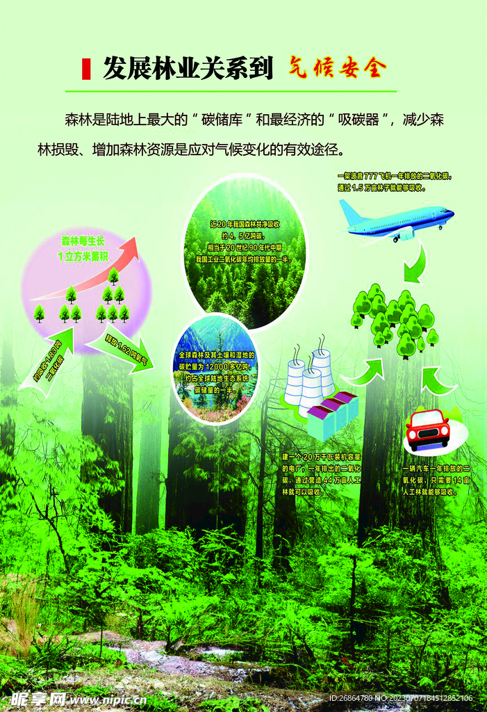 发展林业