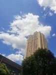 夏日晴空