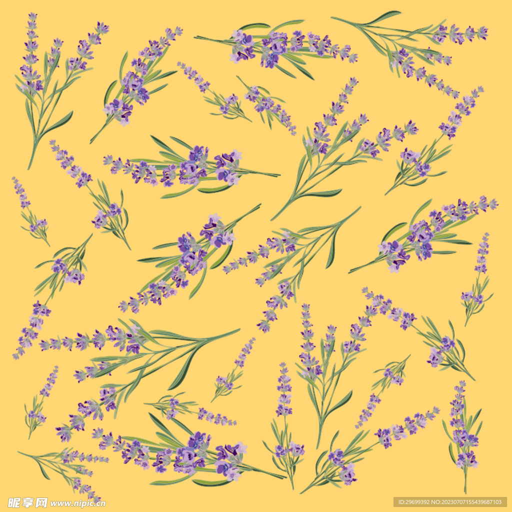 手绘花卉