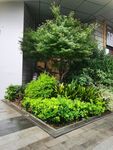 植物一角