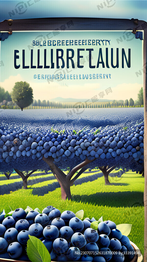 蓝莓园做一个招牌