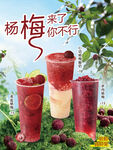 杨梅饮品