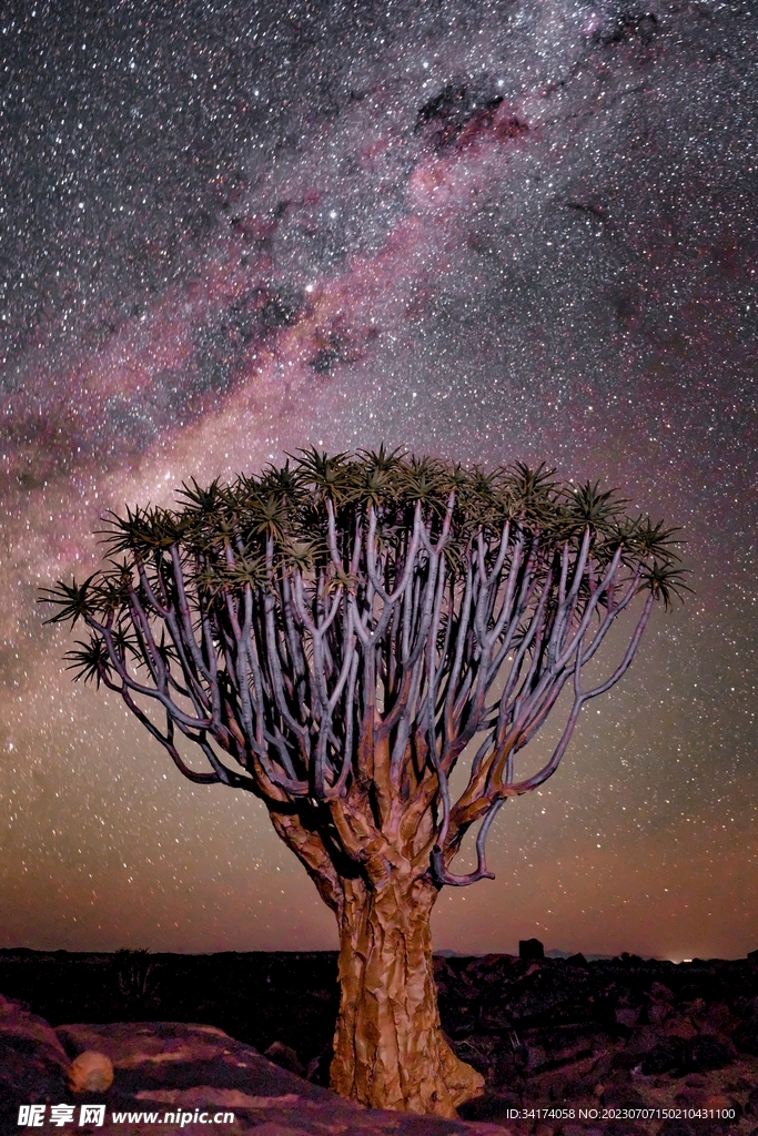 星空