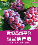 品质严选新鲜水果