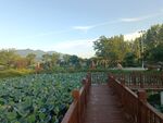 公园景观