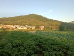 田园风光
