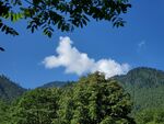 马里冷旧