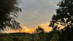 夕阳 