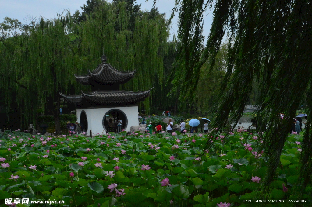 公园风景 