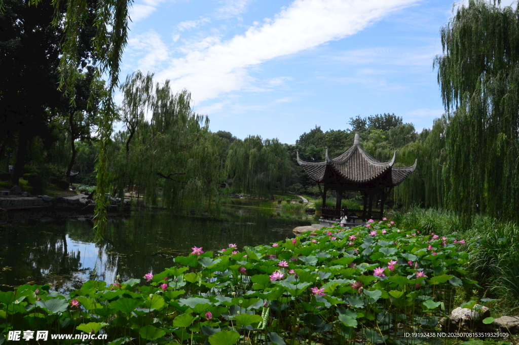 公园风景