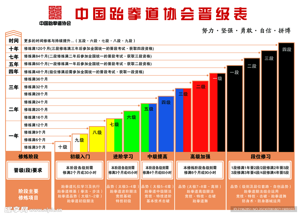 跆拳道晋级表