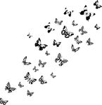 蝴蝶
