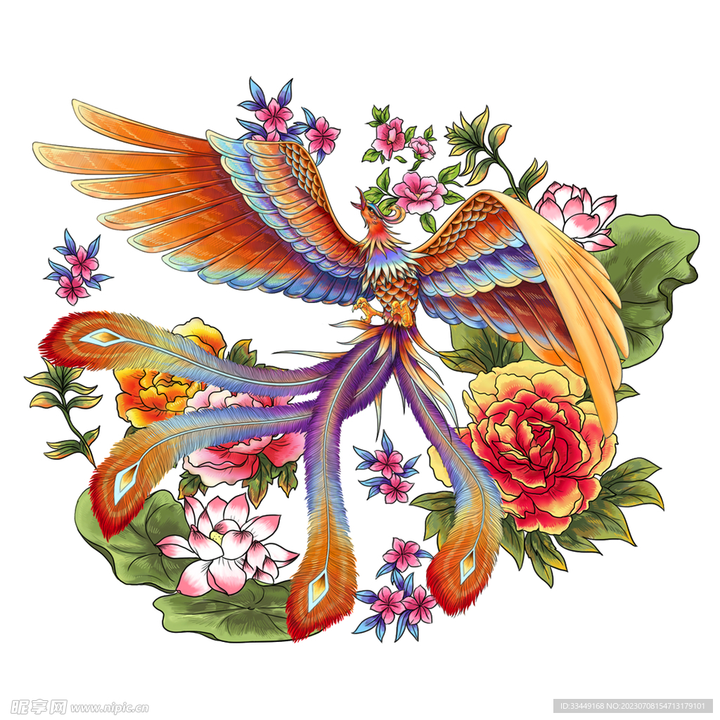 凤凰花