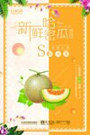 哈密瓜海报
