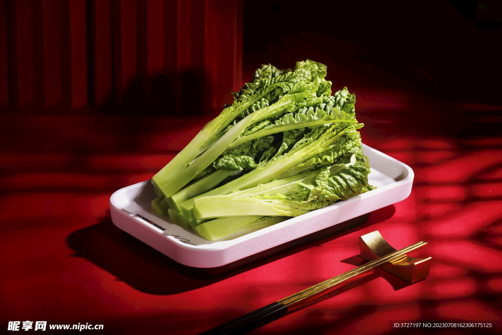 凤尾