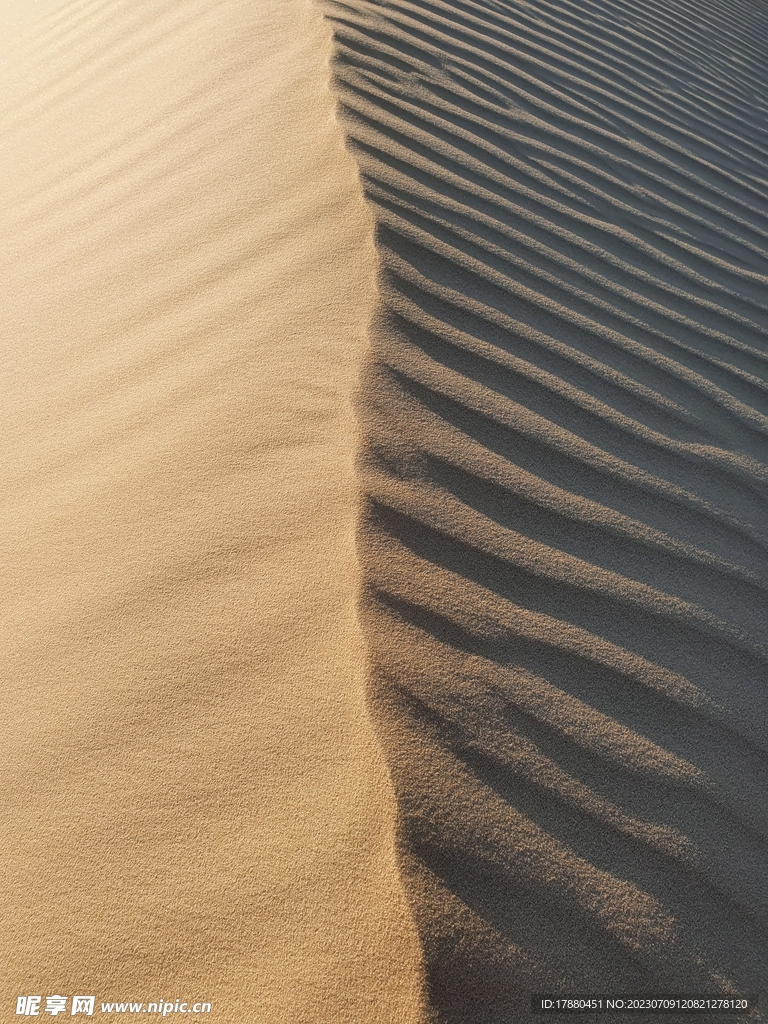 沙漠