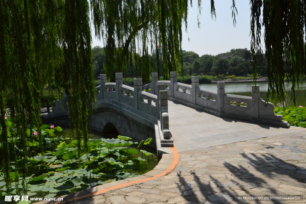公园风景 