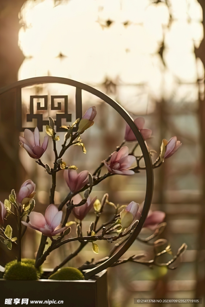 木棉花朵花卉 