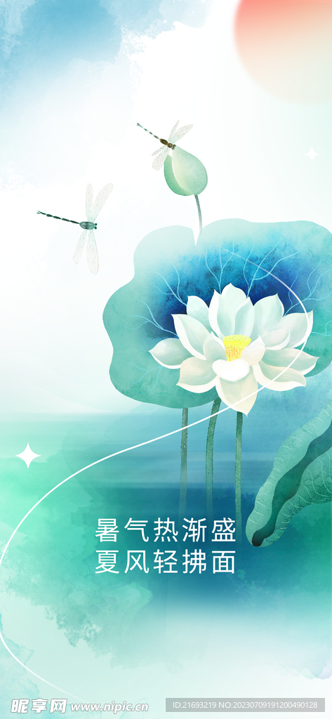 夏季荷花