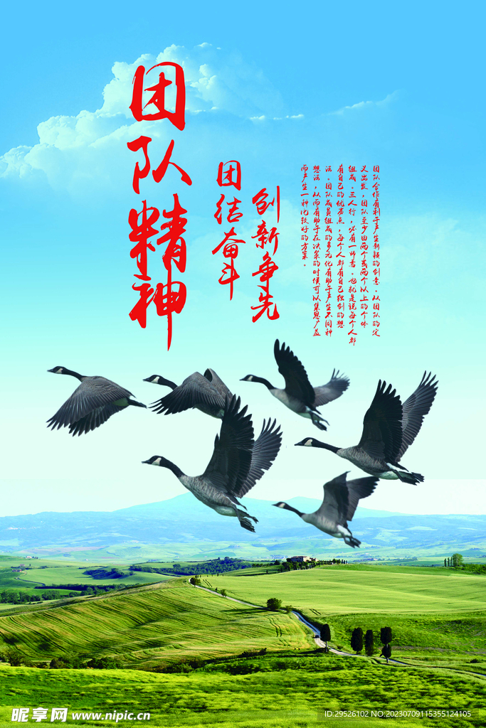 企业文化