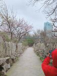 无锡鼋头渚