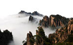风景