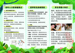 口腔夏季疾病养生护理三折页