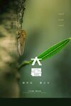 大暑