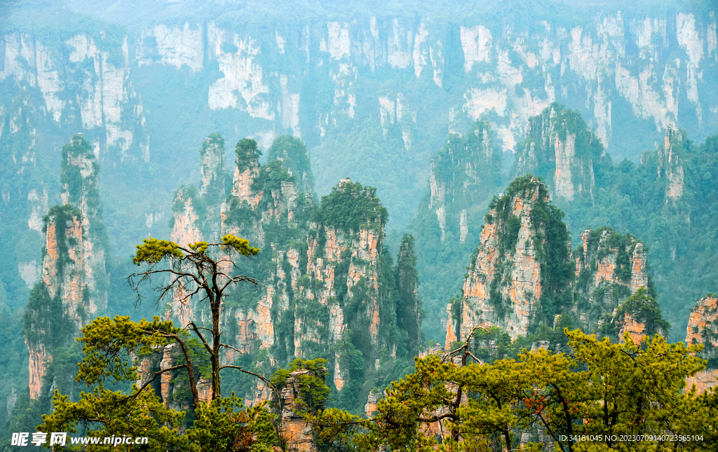 张家界风景