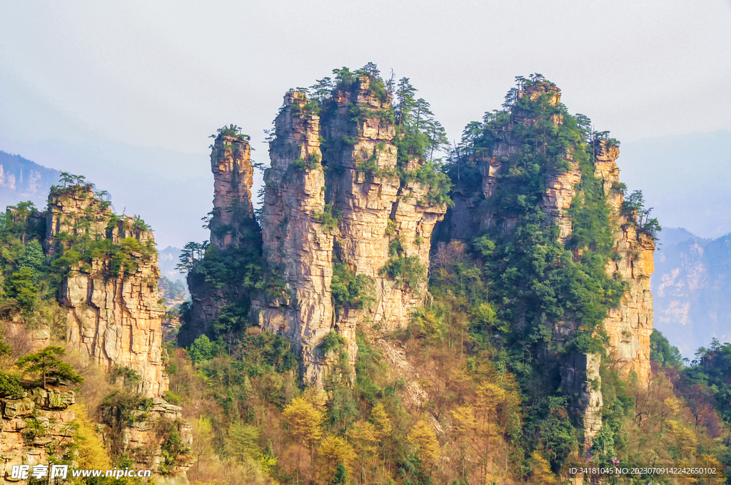 张家界群山