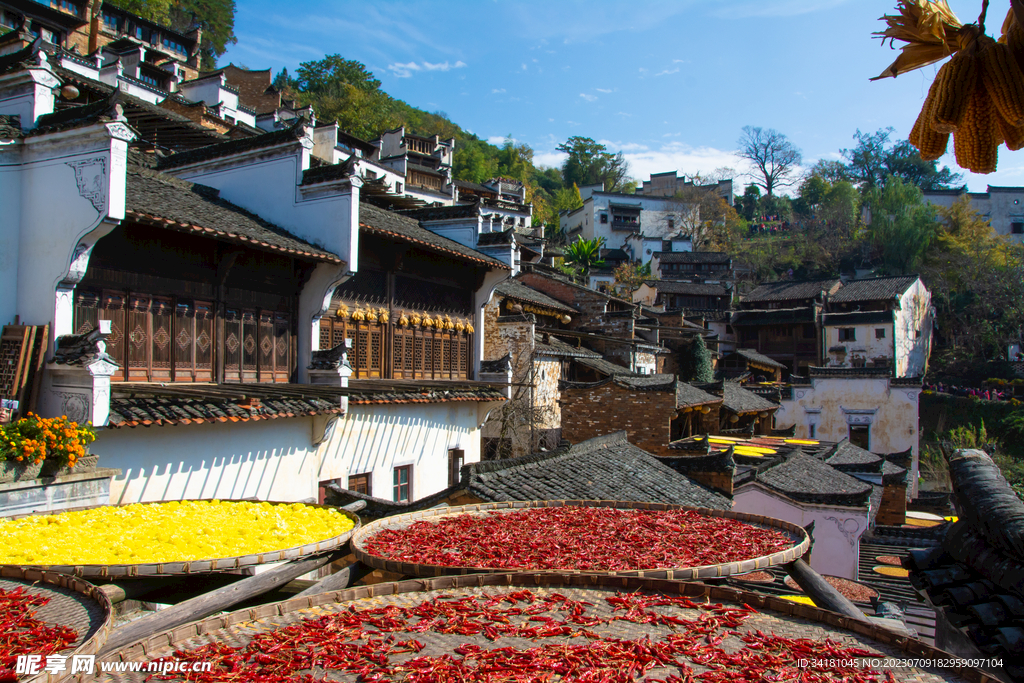 古镇婺源风景