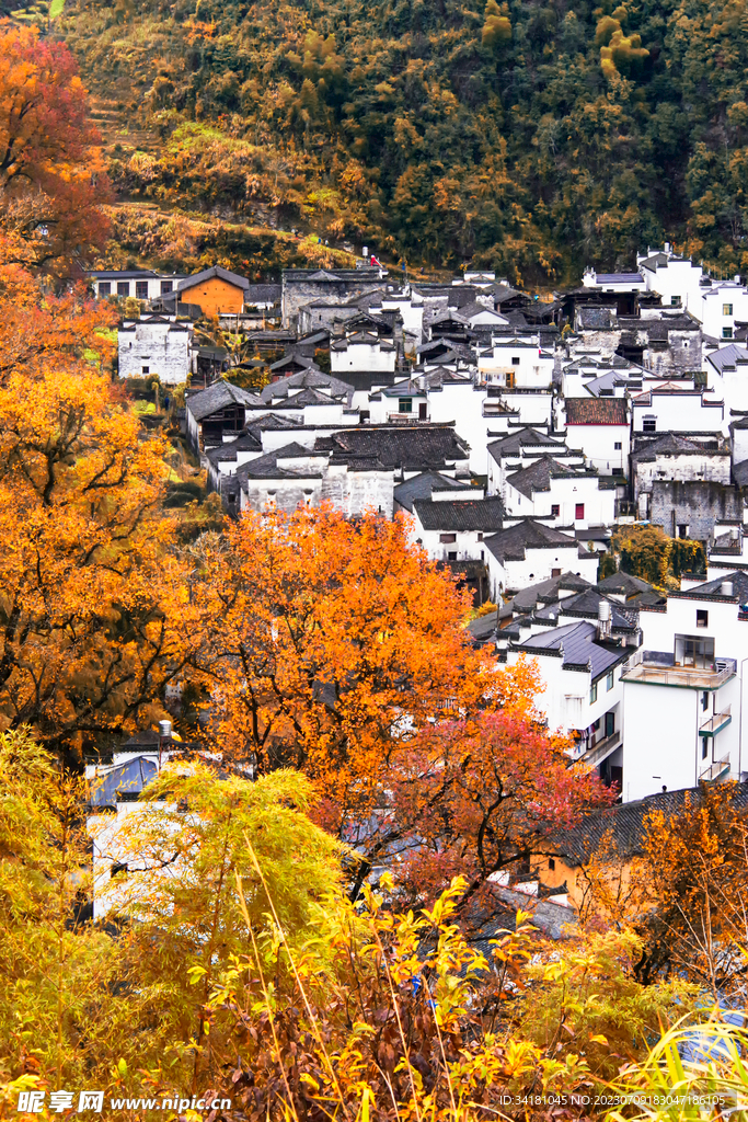 古镇婺源美景