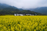 古镇婺源风景